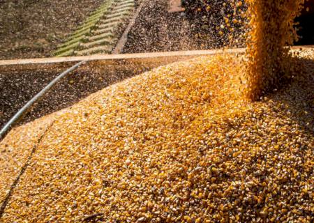 Conab: produção de grãos é estimada em 320,1 milhões de toneladas