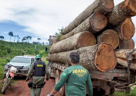 Governo autoriza contratação de 257 servidores para o Ibama