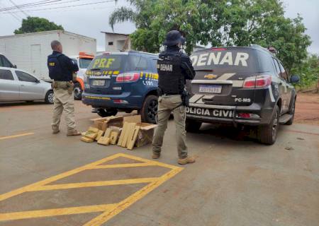 Ação conjunta da DENAR e PRF prende homem transportando 77 kg de maconha em MS