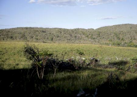 Campeãs em desmatamento, terras privadas têm 62% do Cerrado nativo