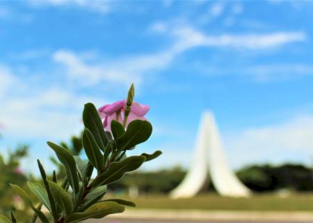 Primavera começa às 3h50 deste sábado