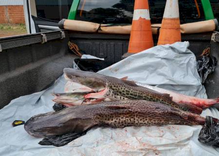 Polícia Militar Ambiental de Naviraí prende homem por pesca predatória