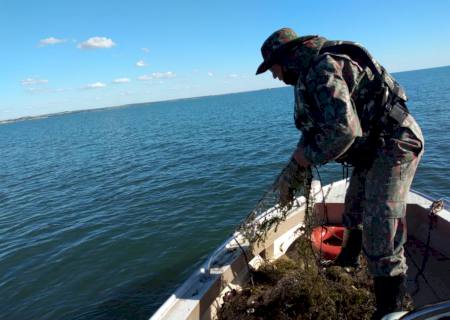 Polícia Ambiental deflagra ''Operação Padroeira'' em Mato Grosso do Sul