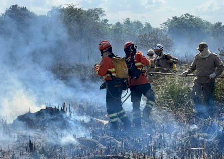 Bombeiros de MS atuam em três incêndios florestais no Pantanal