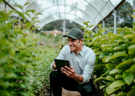 Plataforma facilitará o acesso ao crédito para produtores rurais