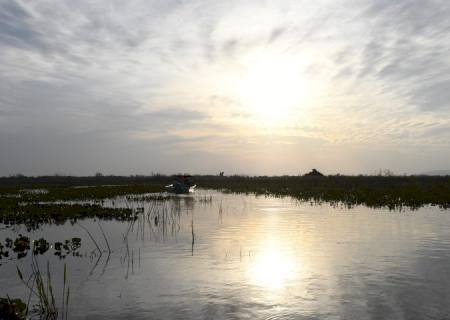 Instrumento para preservação e desenvolvimento, Lei do Pantanal tem reconhecimento de entidades e ONGs