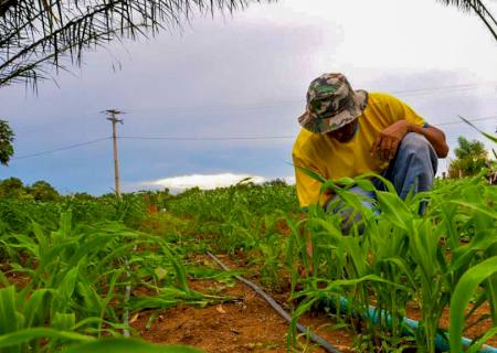 Cida do Zé Bugre quer Programa de Fomento à Agricultura Familiar em Nova Andradina