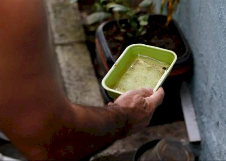 Dicas simples podem livrar sua casa dos focos da dengue e se prevenir contra doença