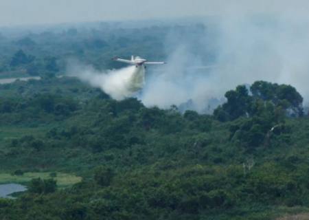 Com atuação coordenada por terra e ar, bombeiros de MS controlam incêndio no Pantanal