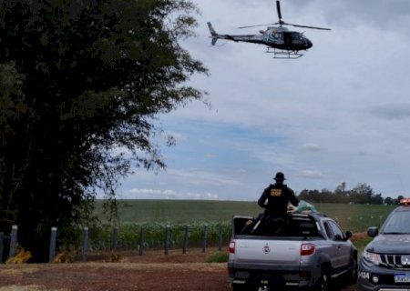 Veículo roubado em São Paulo é recuperado pelo DOF com quase 300 kg de drogas em Dourados