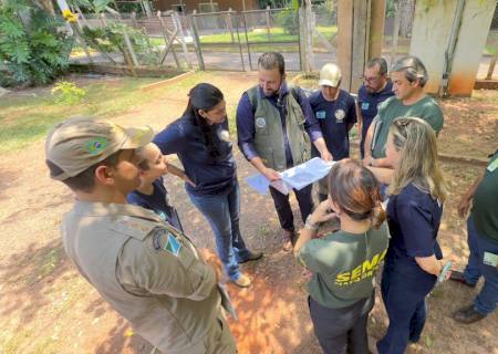MS e MT farão acordo de cooperação técnica para integrar políticas públicas e ações para tratar do Bioma Pantanal
