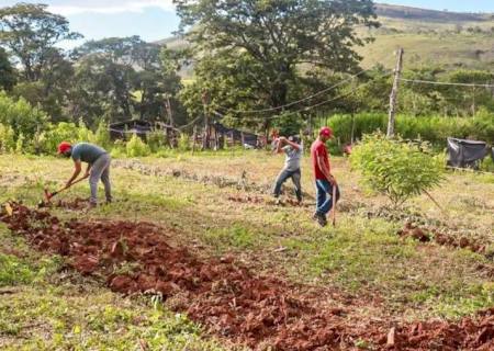 Justiça nega reintegração em fazenda invadida pelo MST em Minas Gerais