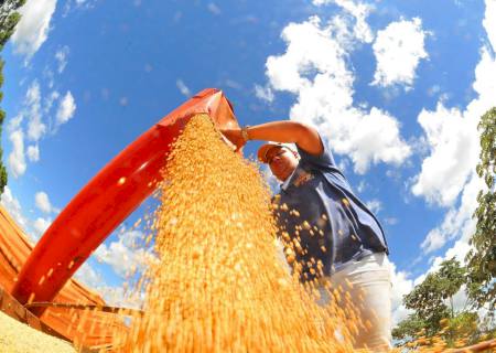 Exportações de MS tiveram aumento de 25% no primeiro bimestre e superávit ultrapassa US$ 836 milhões