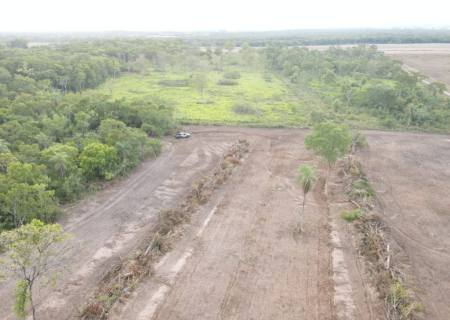 Polícia Ambiental de Bela Vista autua proprietário rural por exploração irregular de vegetação nativa