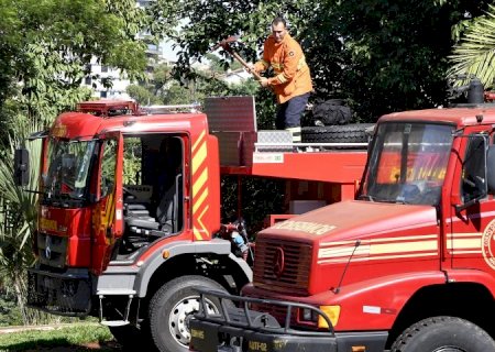 Com ações preventivas e bases avançadas, bombeiros de MS atuam no combate a incêndios florestais no Pantanal