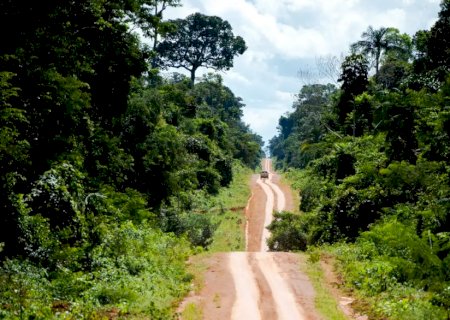 Amazônia: degradação afeta área três vezes maior que desmatamento