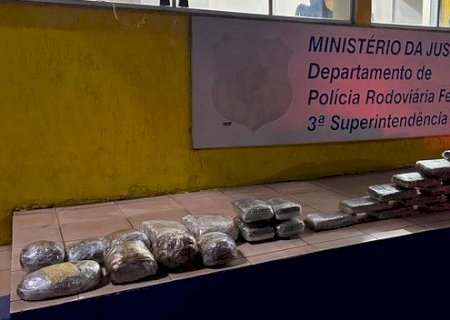 PRF prende boliviana que levava drogas para Campo Grande