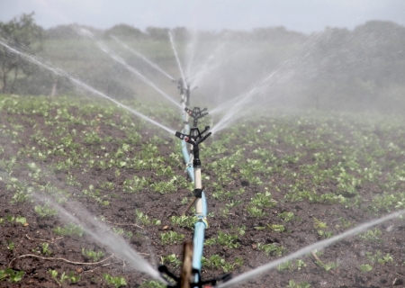 Ceará do PT quer climatizadores e sistemas de irrigação para estufas da COPAOLGA