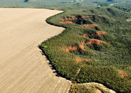 Área desmatada no Brasil em 2023 cai 11,6%, indica MapBiomas