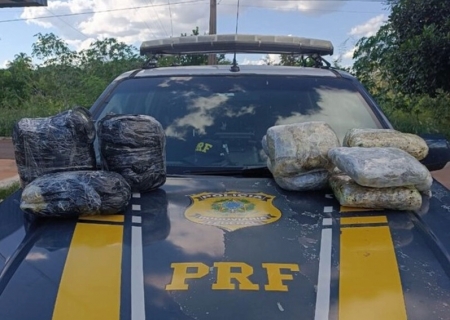 Passageiras de ônibus são flagradas viajando com skunk em Terenos