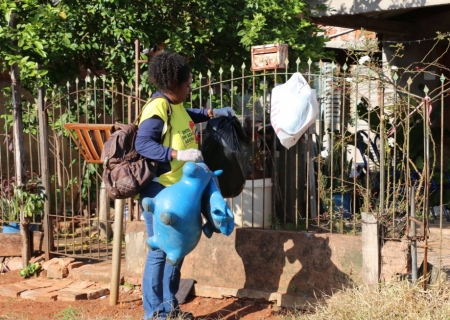 Horto Florestal recebe neste sábado mutirão contra Aedes aegypti