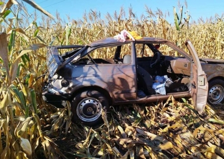 Carro capota e para em meio a um milharal entre Fátima do Sul e Dourados