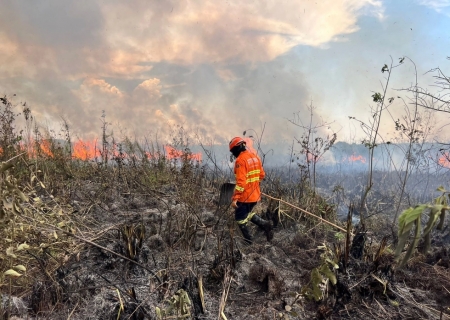 Aprovação de leiSTF aponta omissão do Congresso e dá prazo para proteção do Pantanal
