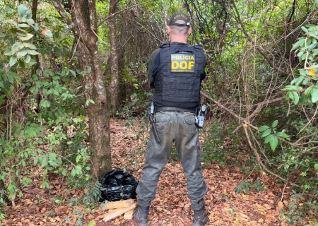 DOF apreende maconha abandonada próxima de uma reserva indígena em Dourados