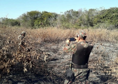 MS já aplicou R$ 54 milhões em multas por incêndios no Pantanal, e mutirão vai acelerar processos