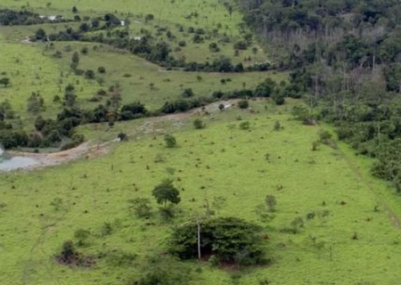 Agronegócio avança rumo à sustentabilidade em meio a desafios crescentes; especialista explica