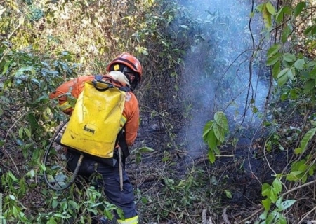 Com incêndios florestais ativos, bombeiros de MS atuam para controlar chamas em diferentes áreas do Pantanal