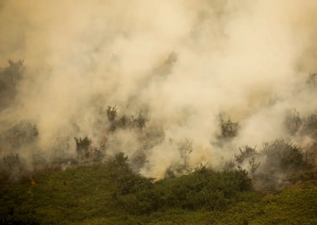 Governo vai liberar R$ 100 mi para combate a incêndios no Pantanal