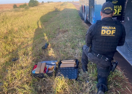 Passageira que seguia com maconha para Minas Gerais é presa pelo DOF na região de Amambai