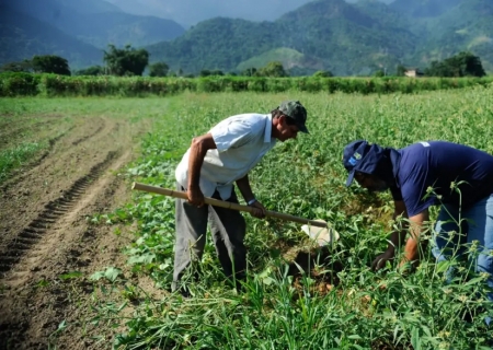 Agricultura familiar terá R$ 76 bi para produção de alimentos