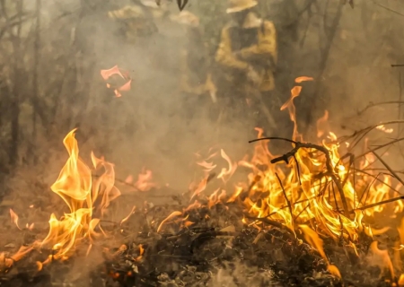 Pantanal: 96% dos incêndios foram extintos ou controlados