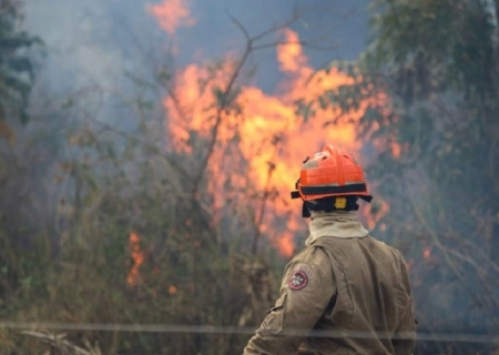 Operação Pantanal: bombeiros do MS lutam para conter grandes chamas na região do Nabileque