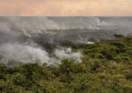 Pantanal poderá ter crise hídrica histórica em 2024, aponta estudo