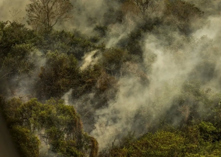 Incêndios podem ter degradado 9% do Pantanal nos últimos cinco anos