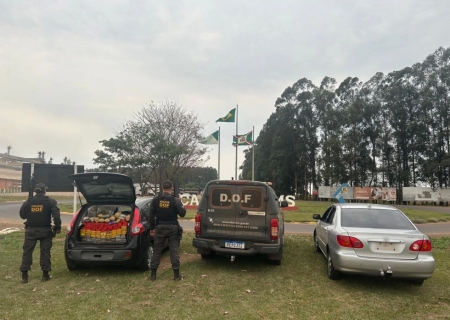 Dupla que seguia com maconha para São Paulo é presa pelo DOF em Caarapó