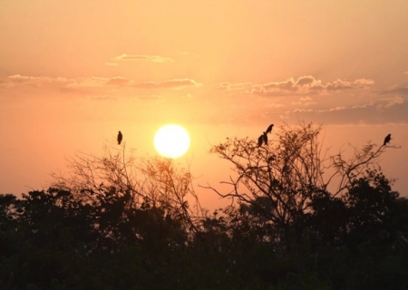 Tempo firme e calor intenso marcam a quarta-feira em Mato Grosso do Sul