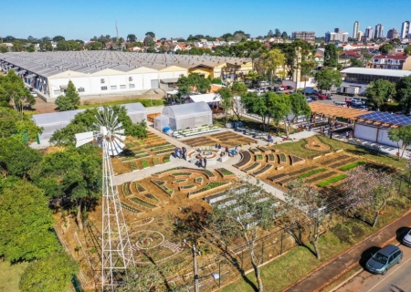 Sancionada lei que cria Política Nacional de Agricultura Urbana