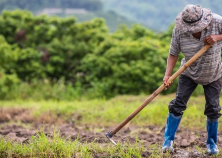 Investimento na agricultura familiar sobe 130% em edital de extensão da Fundect