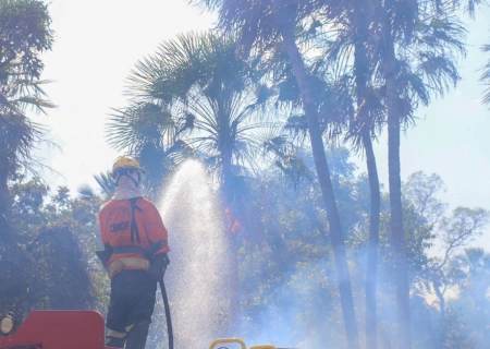 Com seis focos ativos, incêndios no Pantanal são intensificados devido a condições climáticas extremas