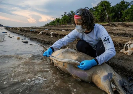 Mudanças climáticas já interferem em secas e cheias na Amazônia