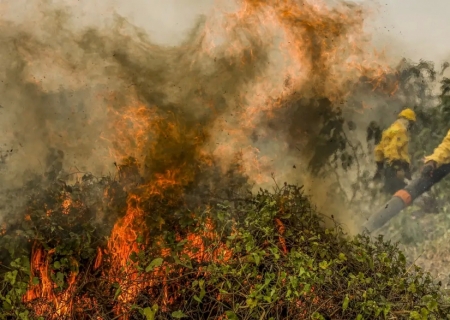 Fogo já consumiu 1,3 milhão de hectares e volta a aumentar no Pantanal