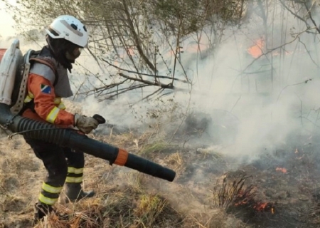 Amor e determinação: mulheres têm papel de destaque no combate aos incêndios no Pantanal