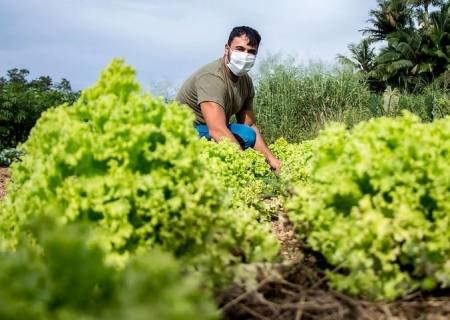 Setor agrícola demitiu 365 mil pessoas em um ano, diz IBGE