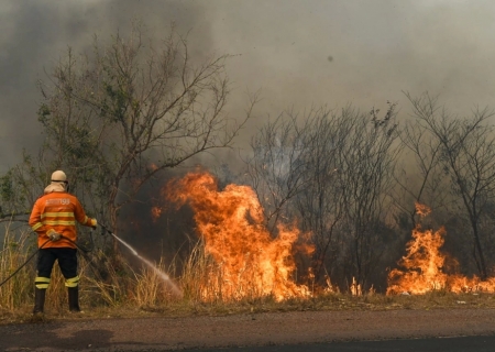 Fogo e fumaça se intensificam no Pantanal e combate aos incêndios em MS continua a ter reforços