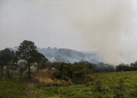 Mais de 80% dos focos de calor em SP estão em áreas de agropecuária