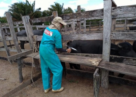 Projeto fortalece transparência de normas da defesa agropecuária